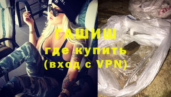 гидра Елизово