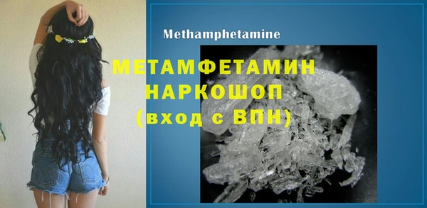 гидра Елизово