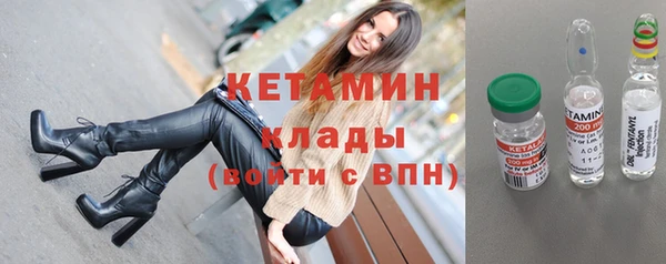 гидра Елизово