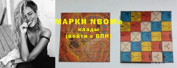 гидра Елизово