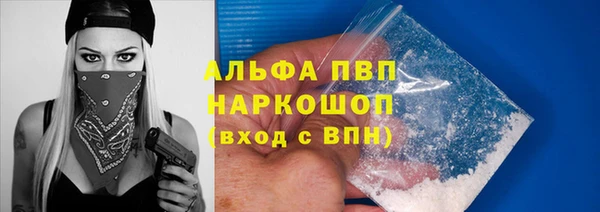 гидра Елизово