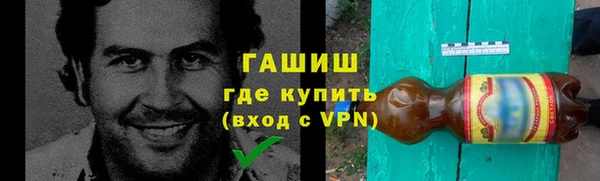 гидра Елизово