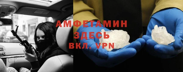 гидра Елизово