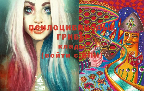 герыч Ельня
