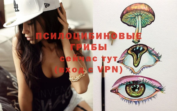 гидра Елизово