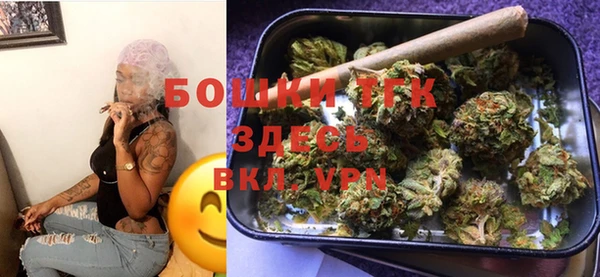 герыч Ельня