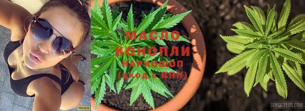 гидра Елизово
