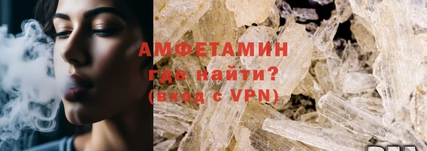 гидра Елизово