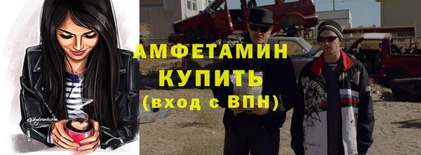 гидра Елизово