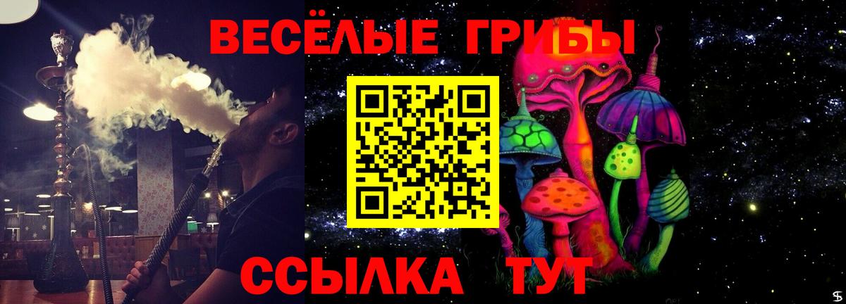 Псилоцибиновые грибы прущие грибы  Вход с VPN  Еманжелинск 