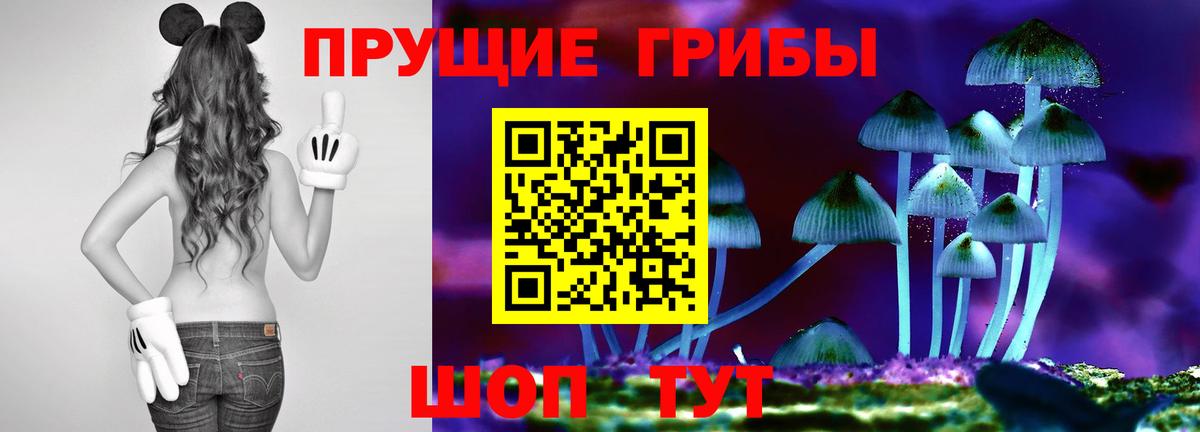 Псилоцибиновые грибы Psilocybine cubensis  Еманжелинск  Галлюциногенные грибы прущие грибы 