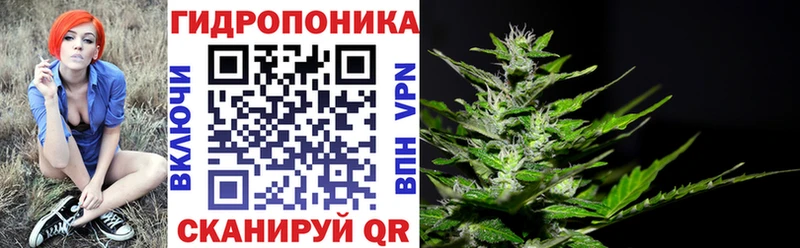купить наркотики сайты  Еманжелинск  МАРИХУАНА сатива 